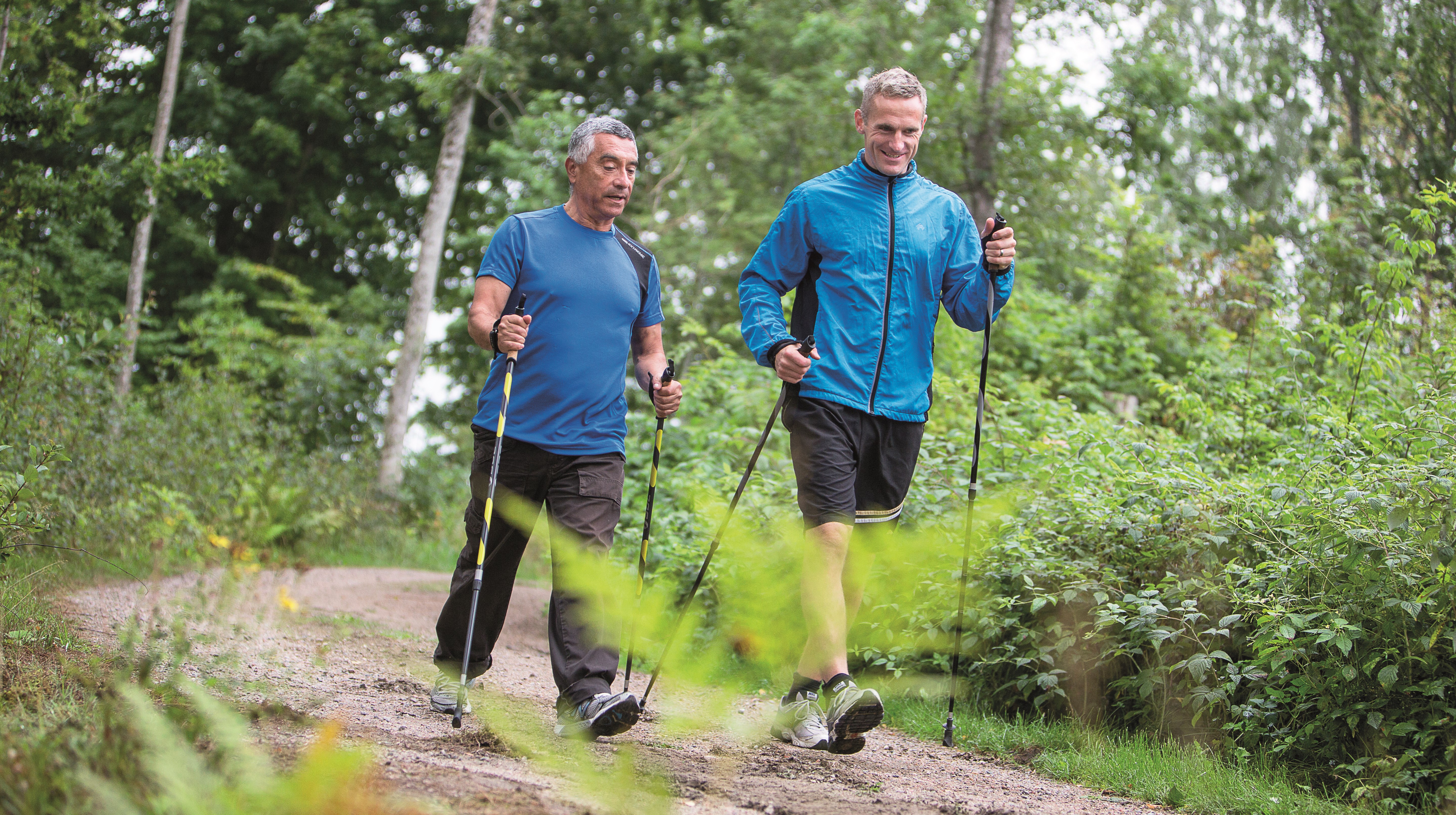 två män promenerar i skogen