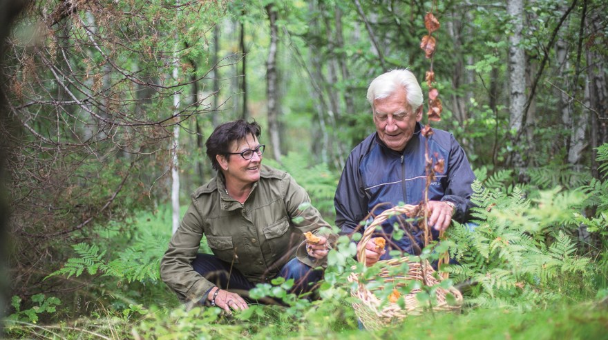 Ett par som är ute i skogen och plockar svamp.