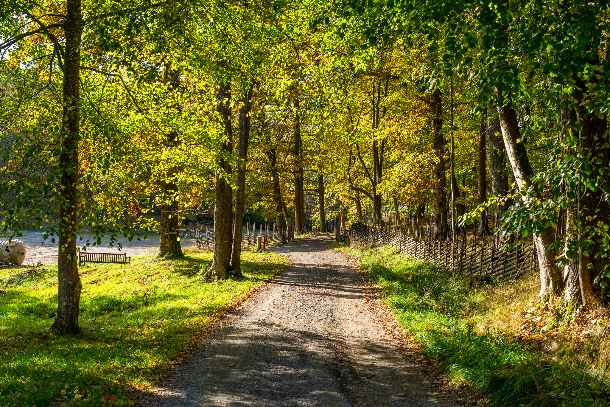 Ingen beskrivning tillgänglig